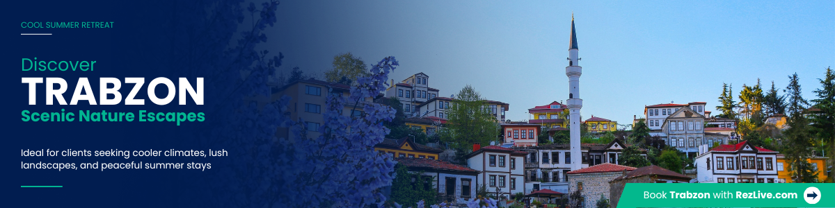 website_banner